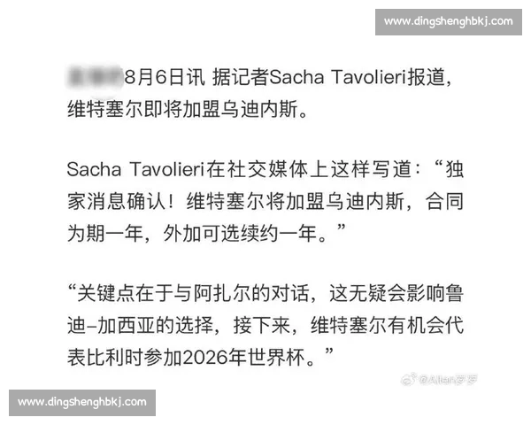 维特塞尔空降乌迪内斯！1+1 合同剑指世界杯与意甲复兴